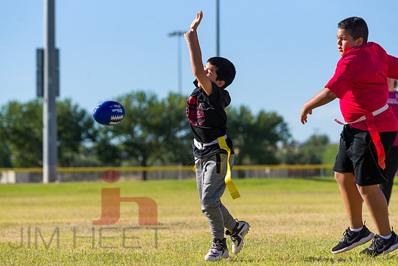 JHP_0194