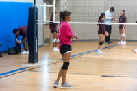 Bentlee Volleyball