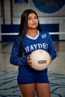 MS VB