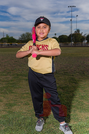 JHP_0433