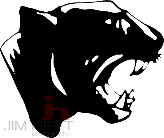 Panther_Head_Mascot_Logo